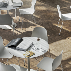 table venus2-Johanson