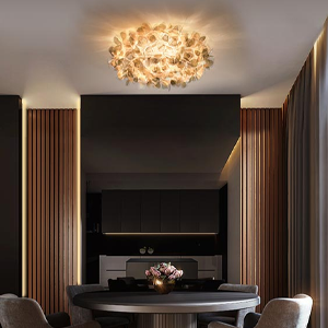 Clizia ceiling2-SLAMP