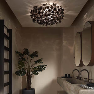 Clizia ceiling4-SLAMP