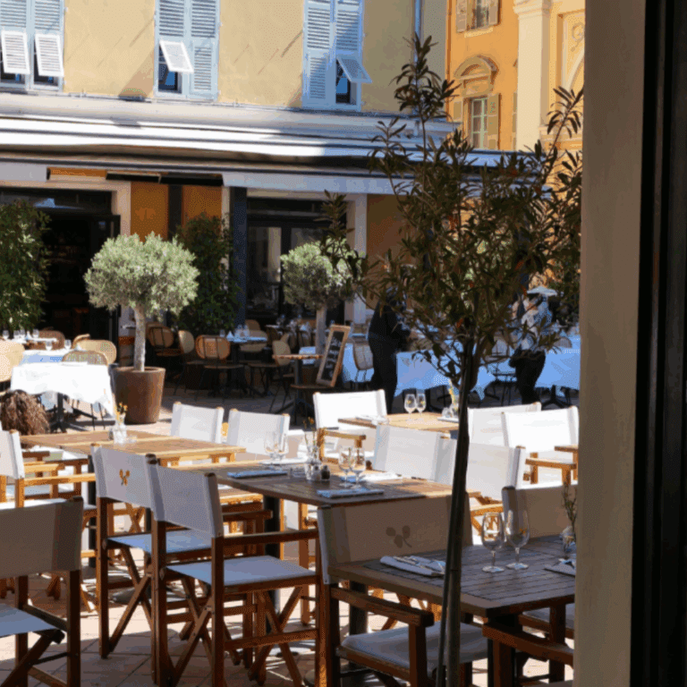 LES MIMOSAS DU COURS