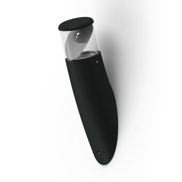 bamboo-roger pradier2