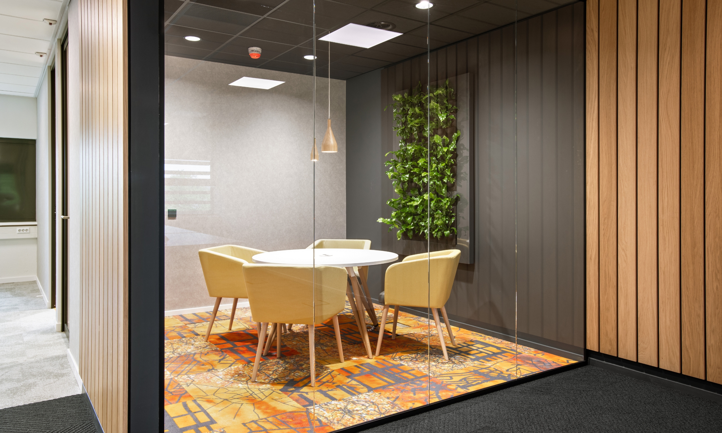 xr:d:DAFK4GWLA8c:491,j:1219147500,t:23032108